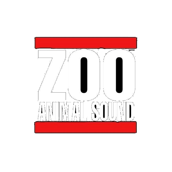 Zoo Animal Sound Logo